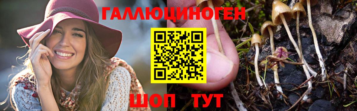 Марихуана Владикавказ