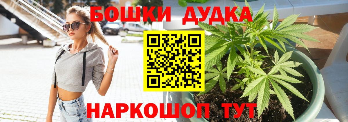 Шишки марихуана конопля Владикавказ
